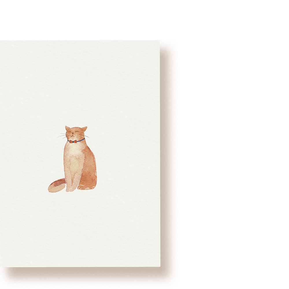 Katze | Postkarte