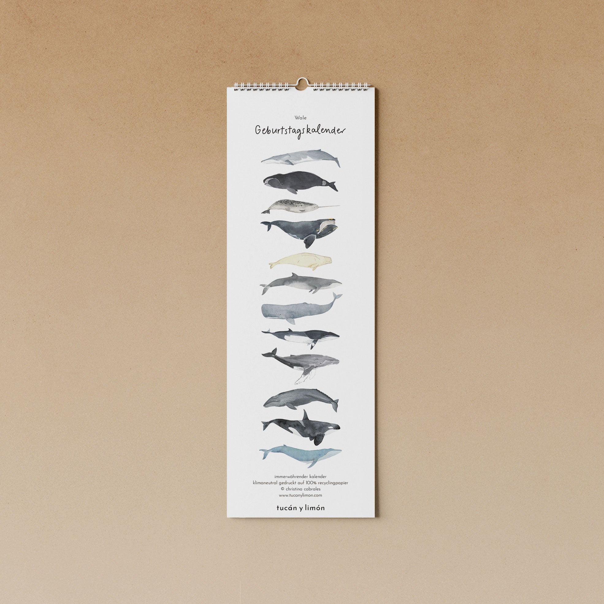 Wale | immerwährender Kalender