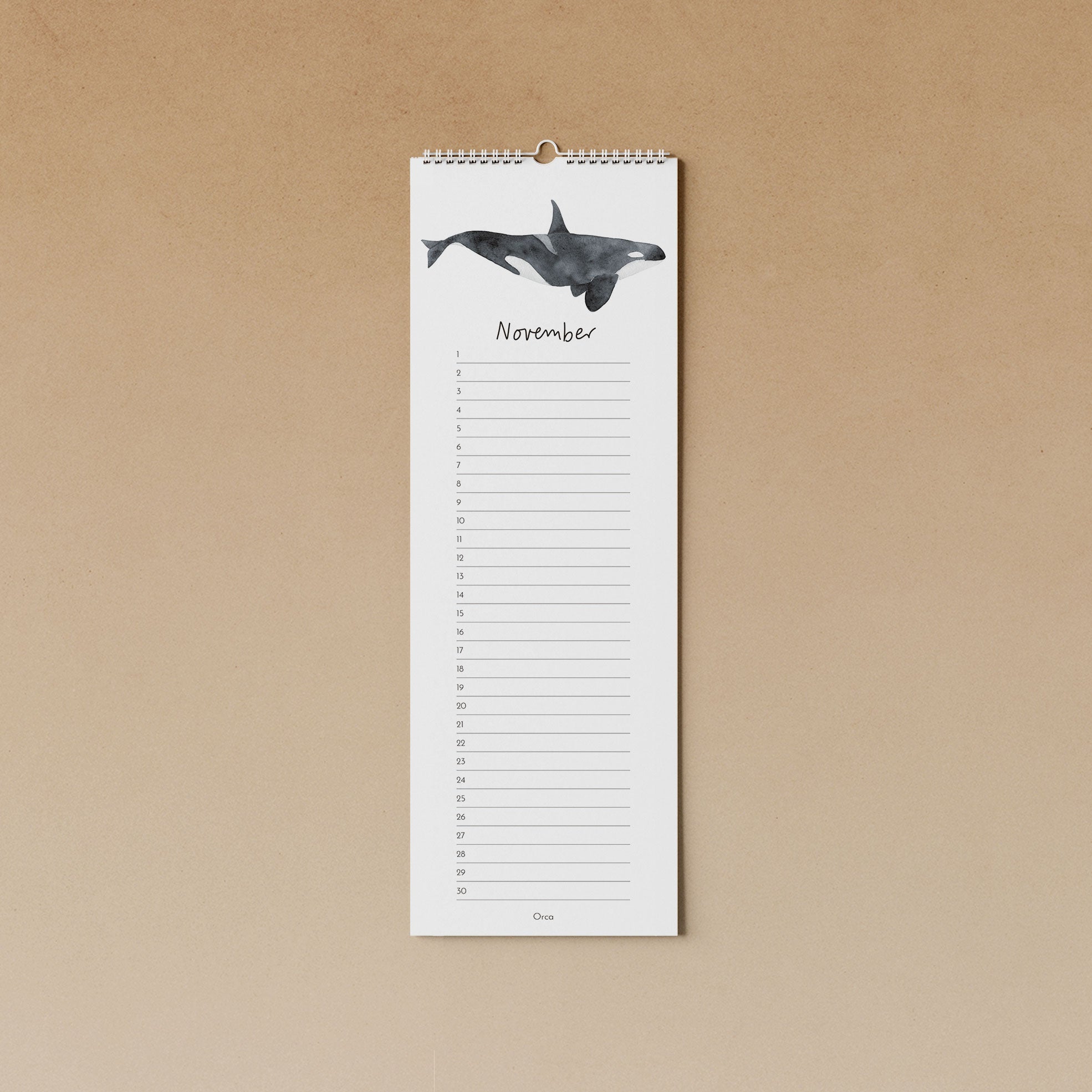 Wale | immerwährender Kalender