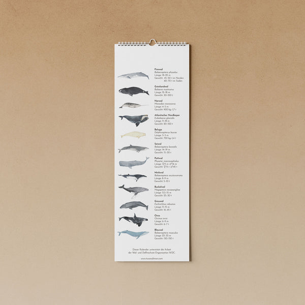 Wale | immerwährender Kalender