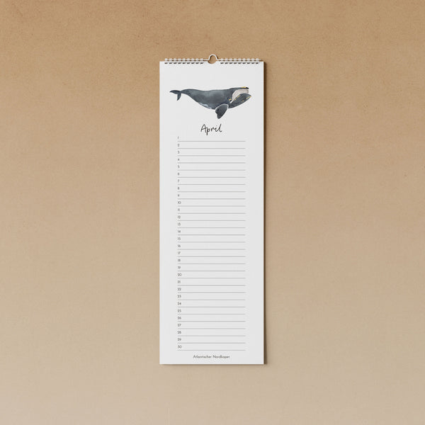 Wale | immerwährender Kalender