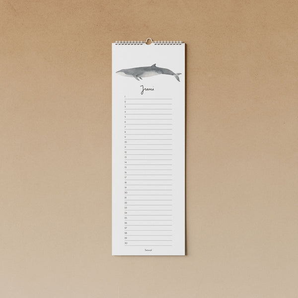 Wale | immerwährender Kalender