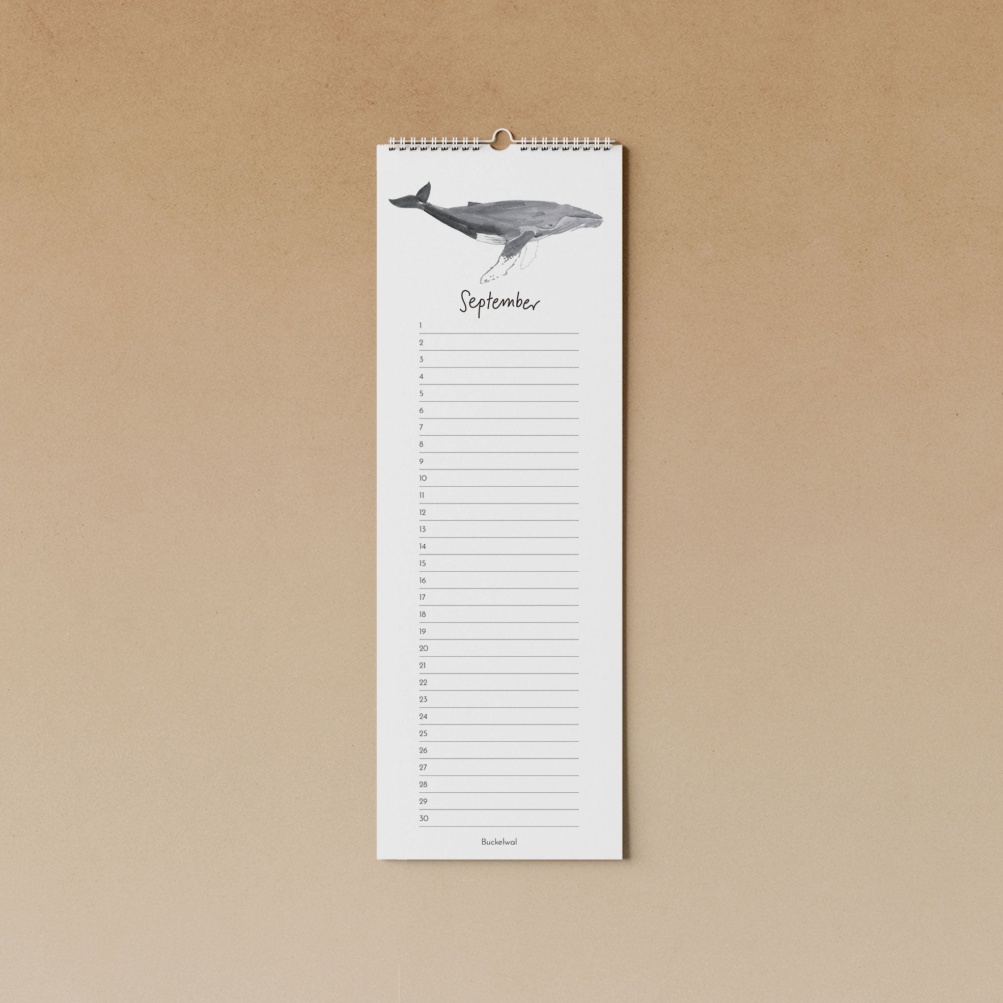 Wale | immerwährender Kalender