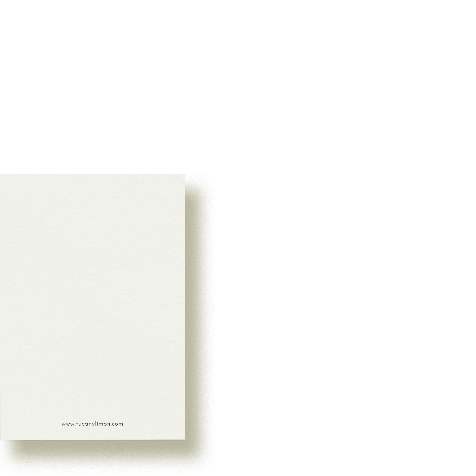 Bergahornblatt | Minikarte mit Umschlag