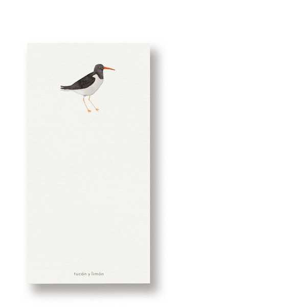 BIRD NOTES - Austernfischer | Notizblock DINA6 schmal