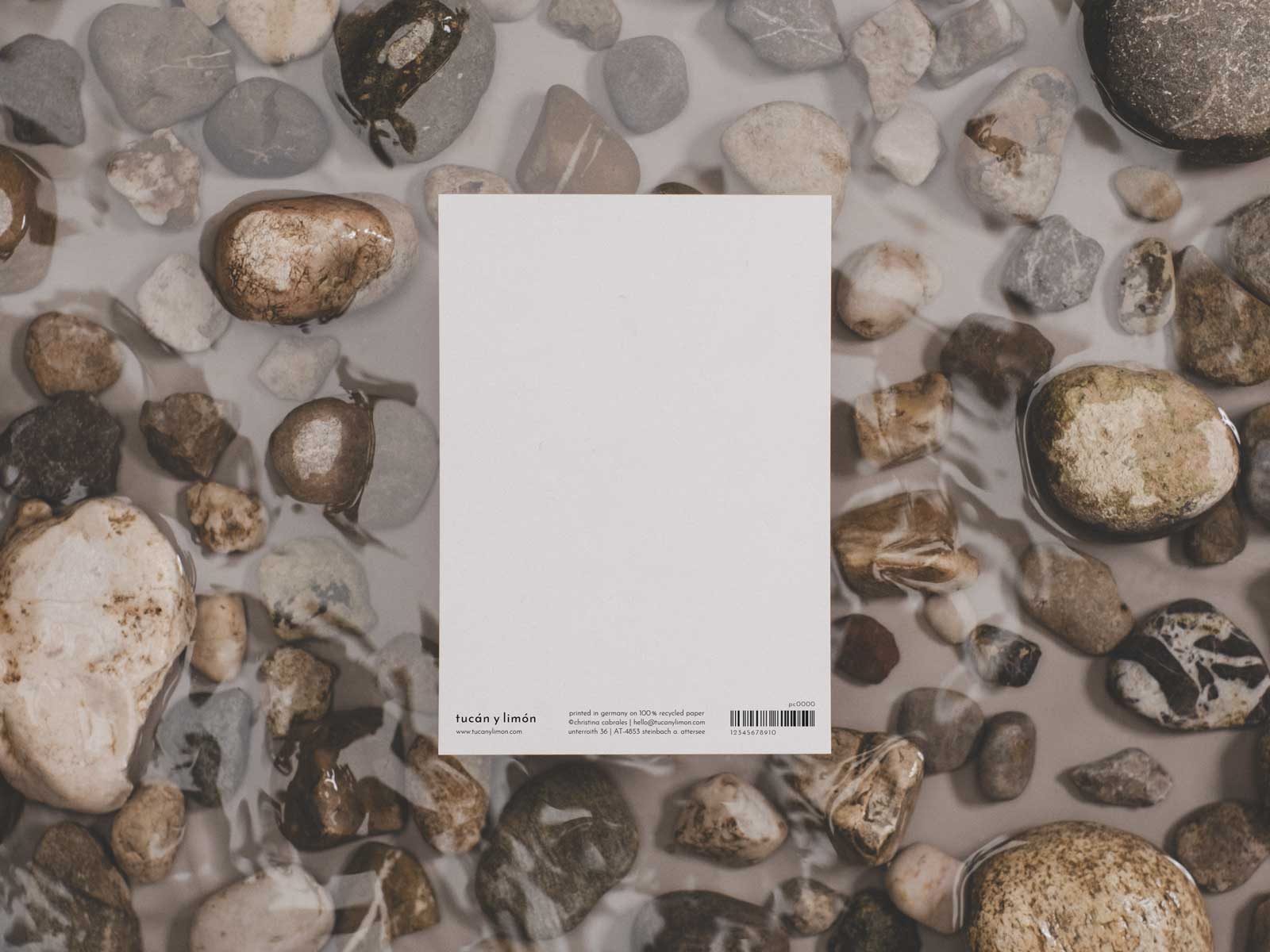Schwalbe Trauerkarte | Postkarte