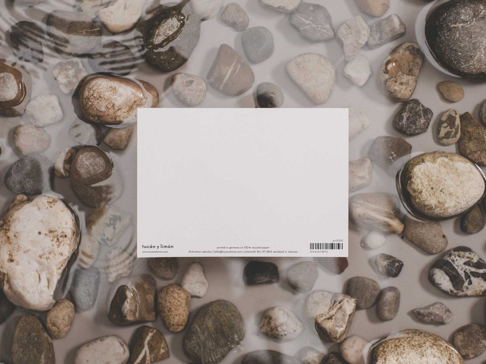 Narwal | Wal Postkarte