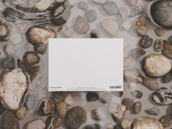 Narwal | Wal Postkarte