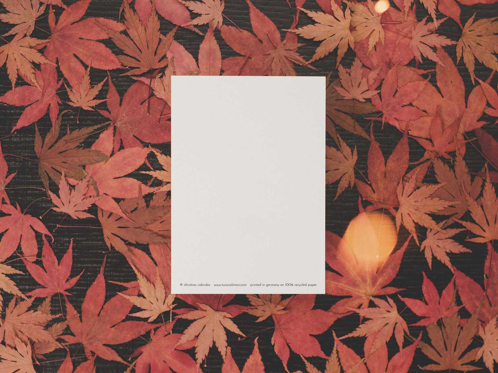 Hello Autumn | Postkarte