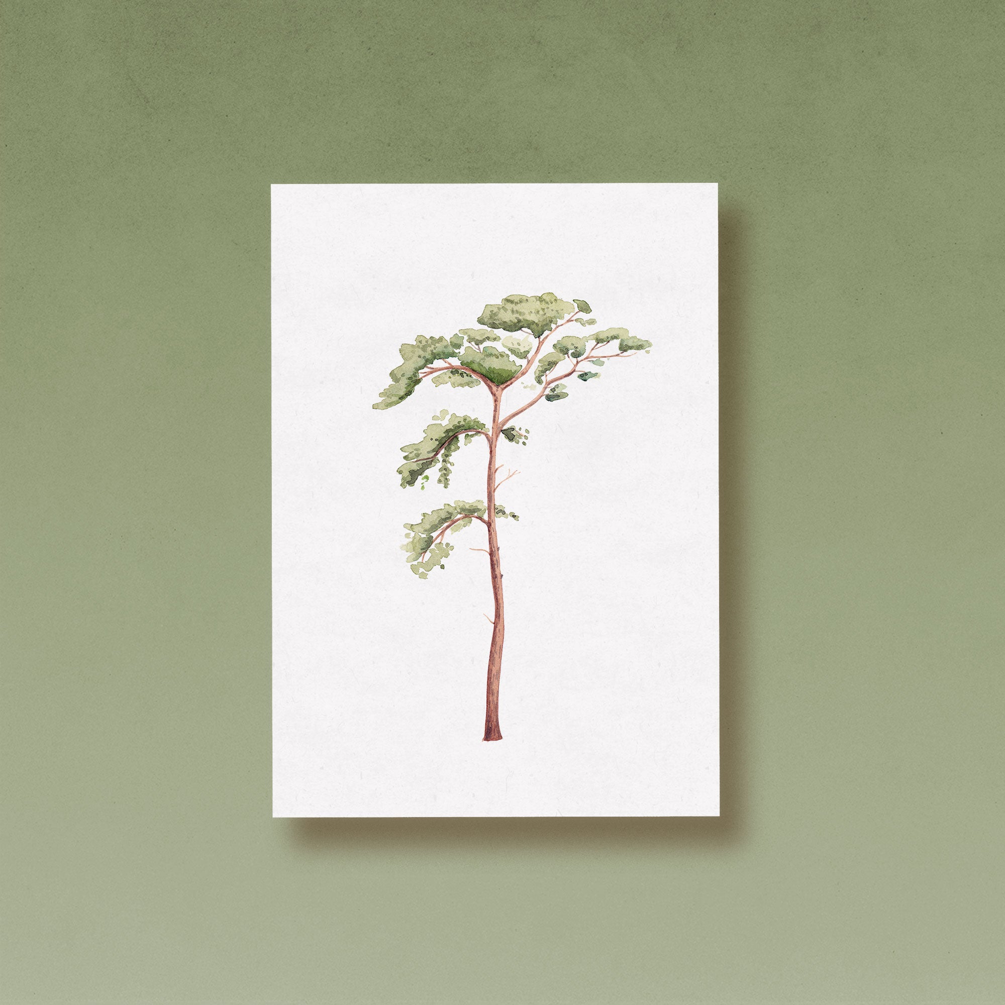 Bäume | Kartenset 5-teilig