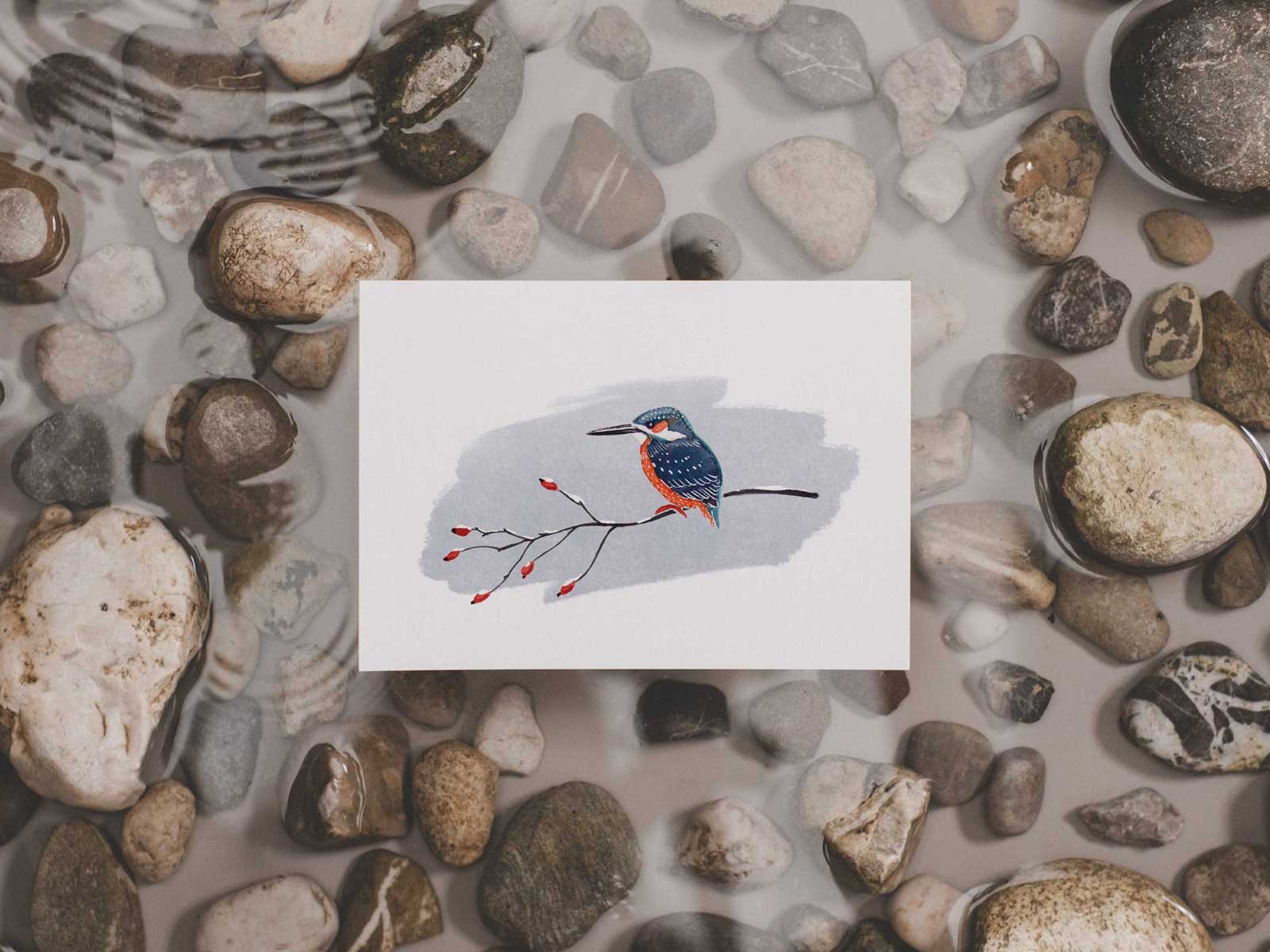 Eisvogel | Postkarte