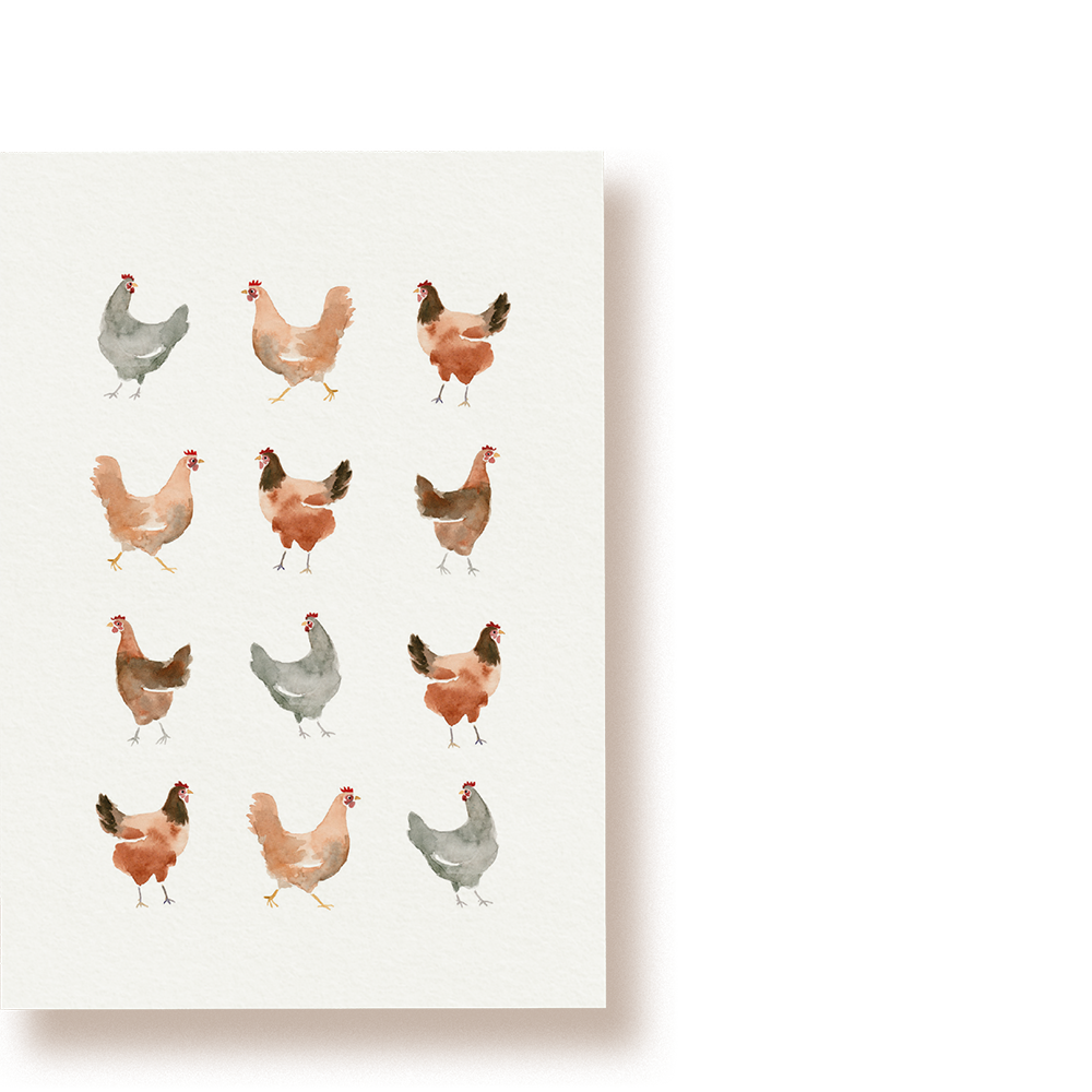 Ein Dutzend Hennen | Hühner Postkarte