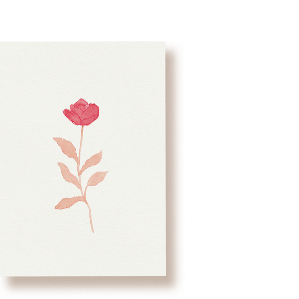 Rose | Postkarte