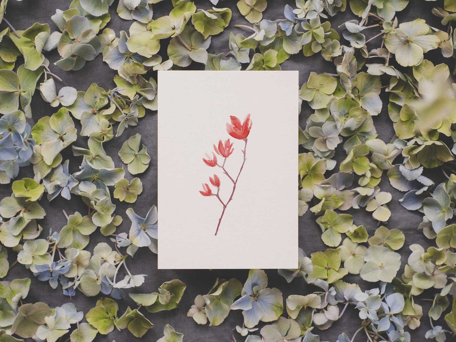 Magnolie | Postkarte