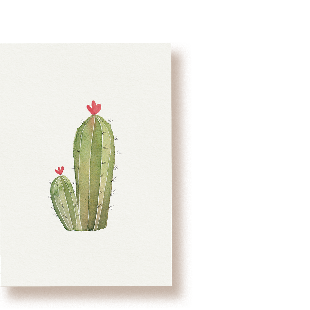 Kaktus | Postkarte