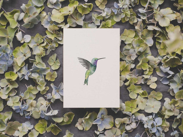 Kolibri | Postkarte