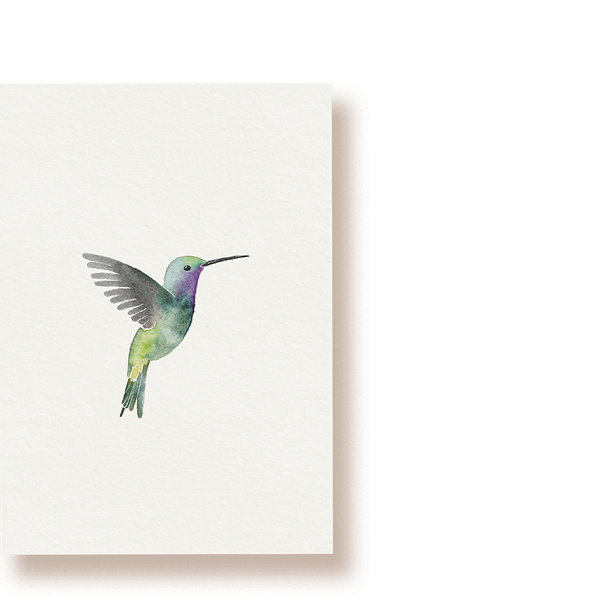 Kolibri | Postkarte