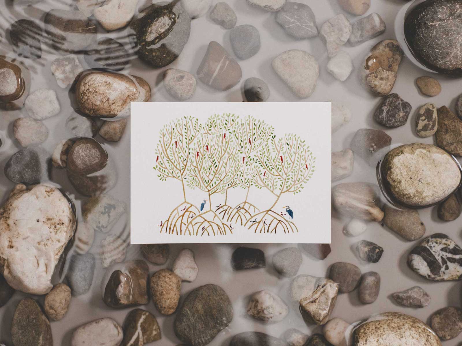 Mangrove | Postkarte