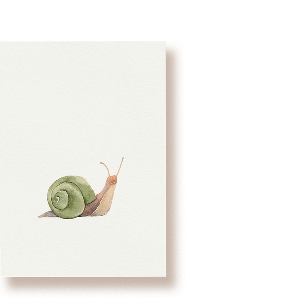 Schnecke | Postkarte