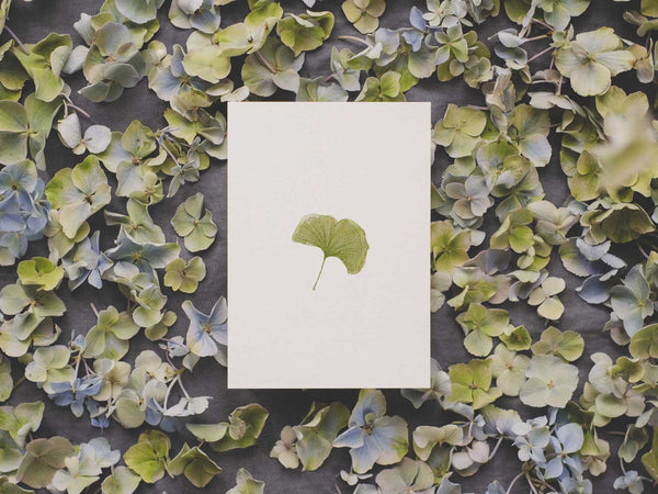 Ginko | Postkarte