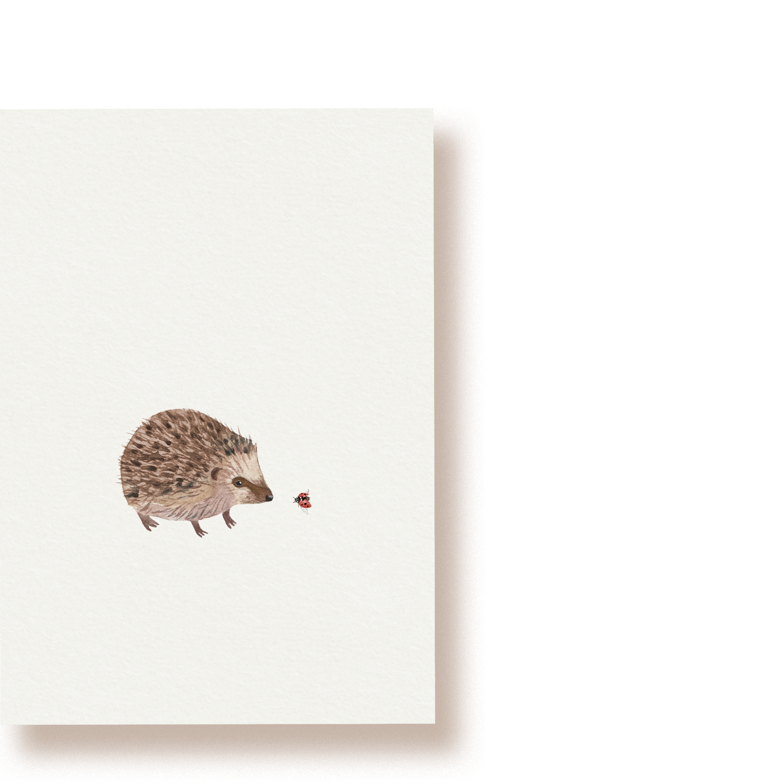 Igel | Postkarte