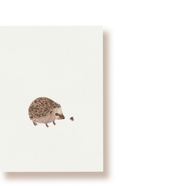 Igel | Postkarte