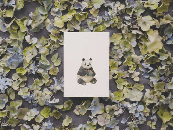 Panda Geschenk | Postkarte