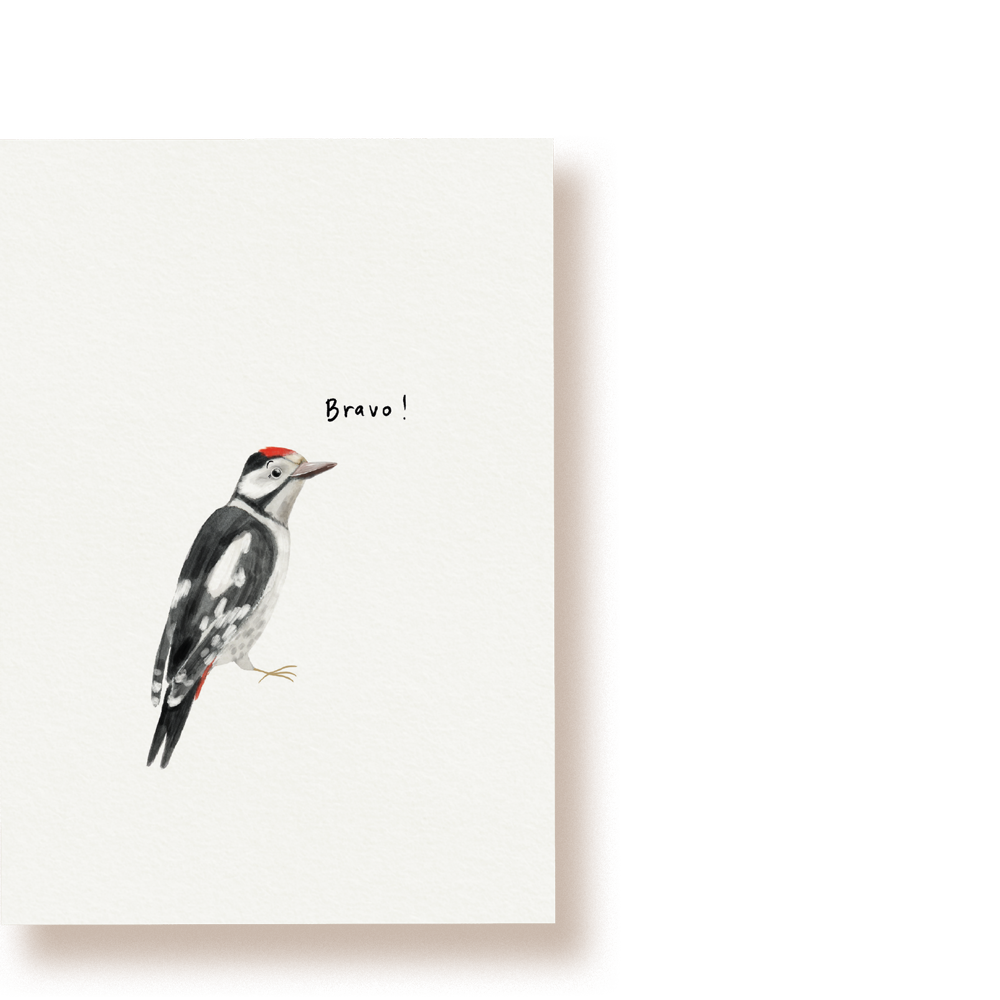 Bravo Specht! | Postkarte