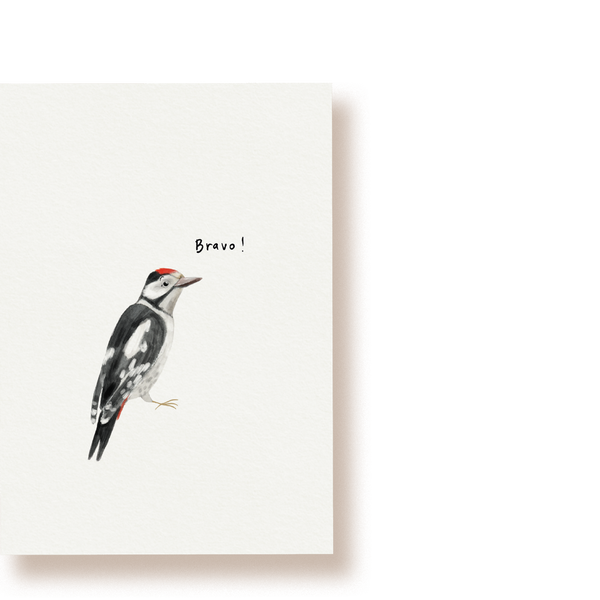 Bravo Specht! | Postkarte