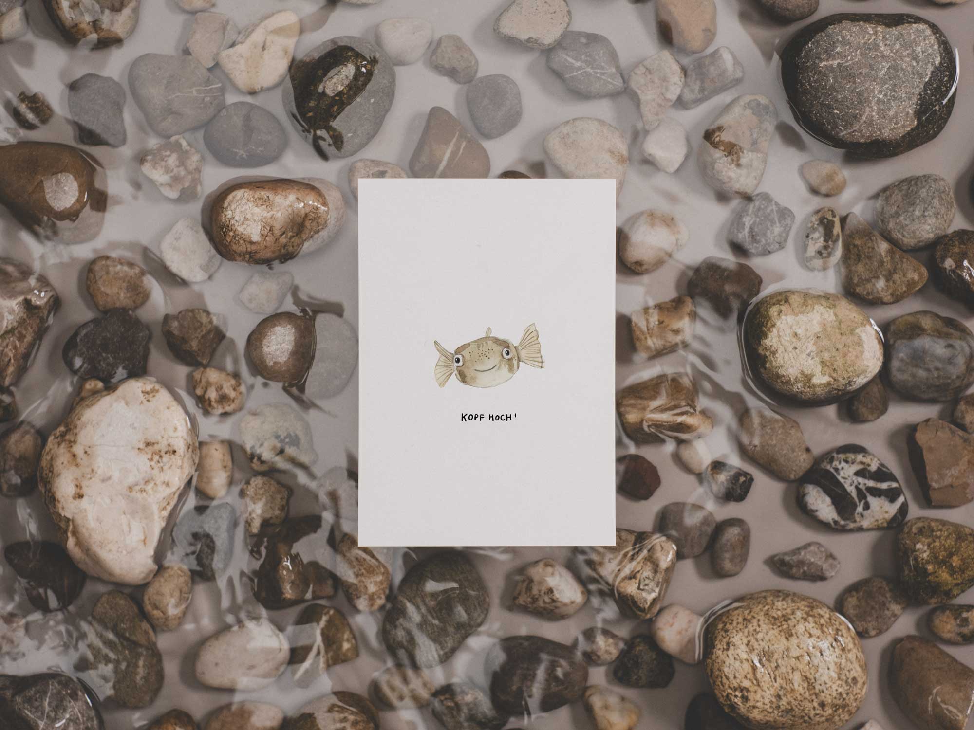 Kopf hoch! Kugelfisch | Postkarte