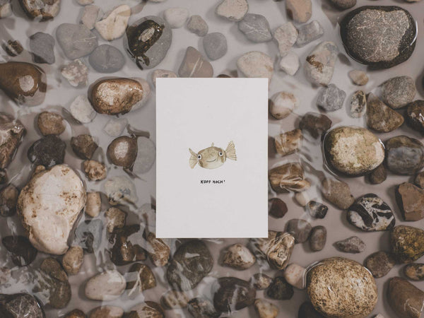Kopf hoch! Kugelfisch | Postkarte