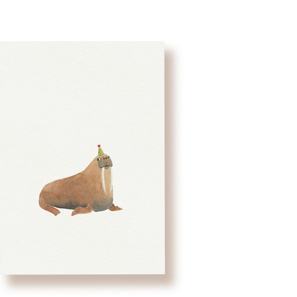 Walross  | Postkarte