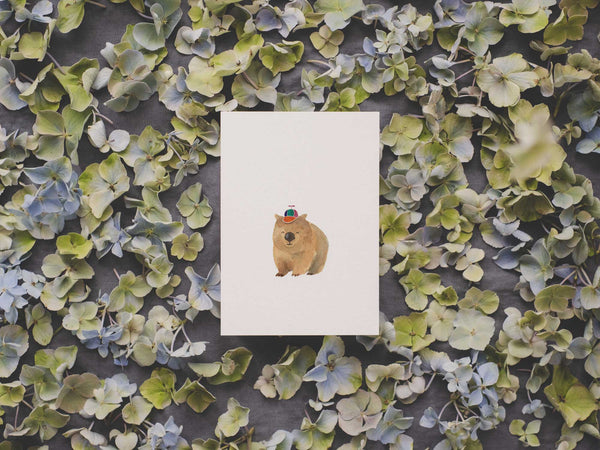 Wombat | Postkarte