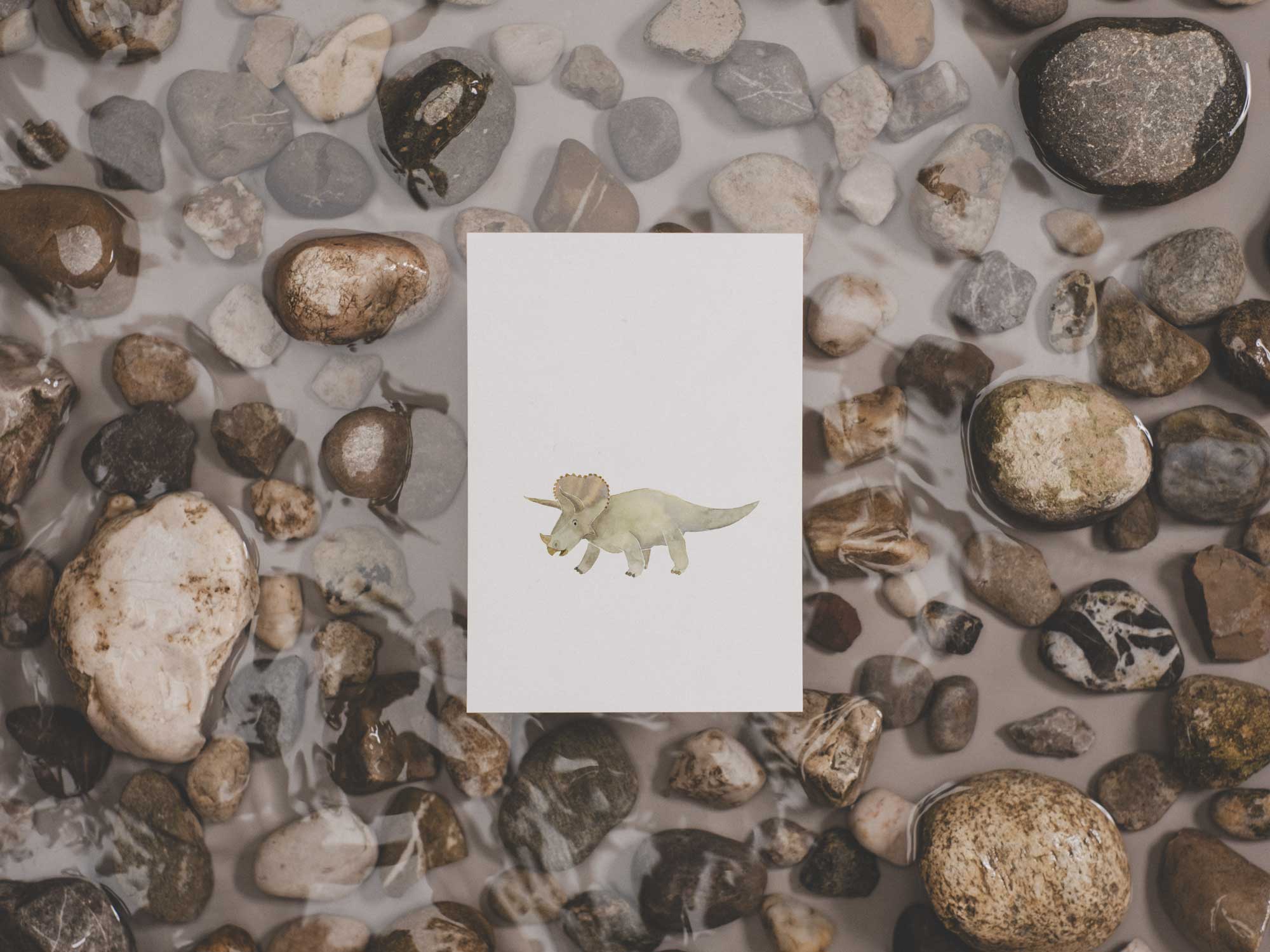 Dinosaurier | Kartenset bestehend aus 5 Karten
