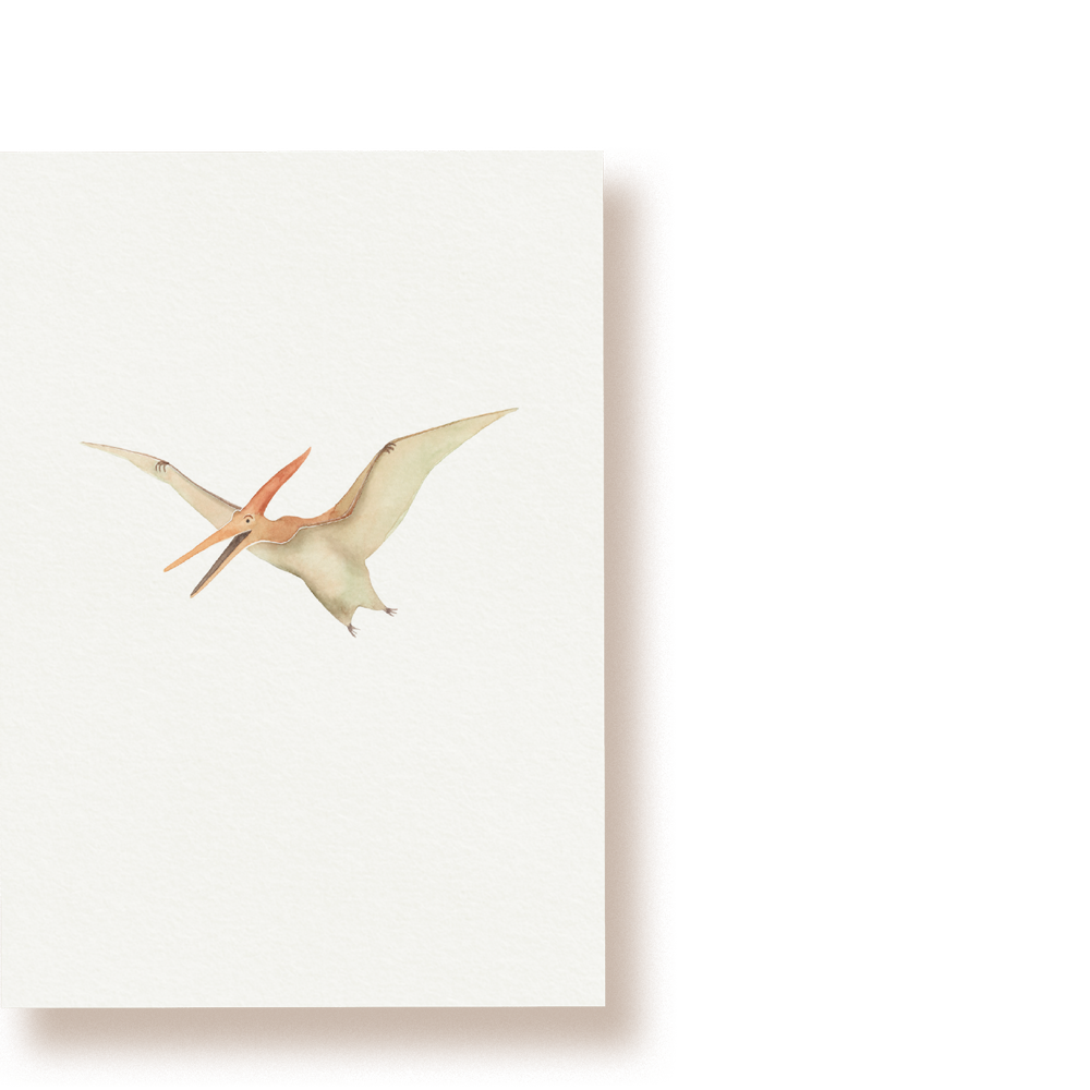 Pteranodon | Postkarte