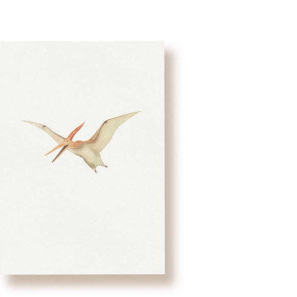Pteranodon | Postkarte