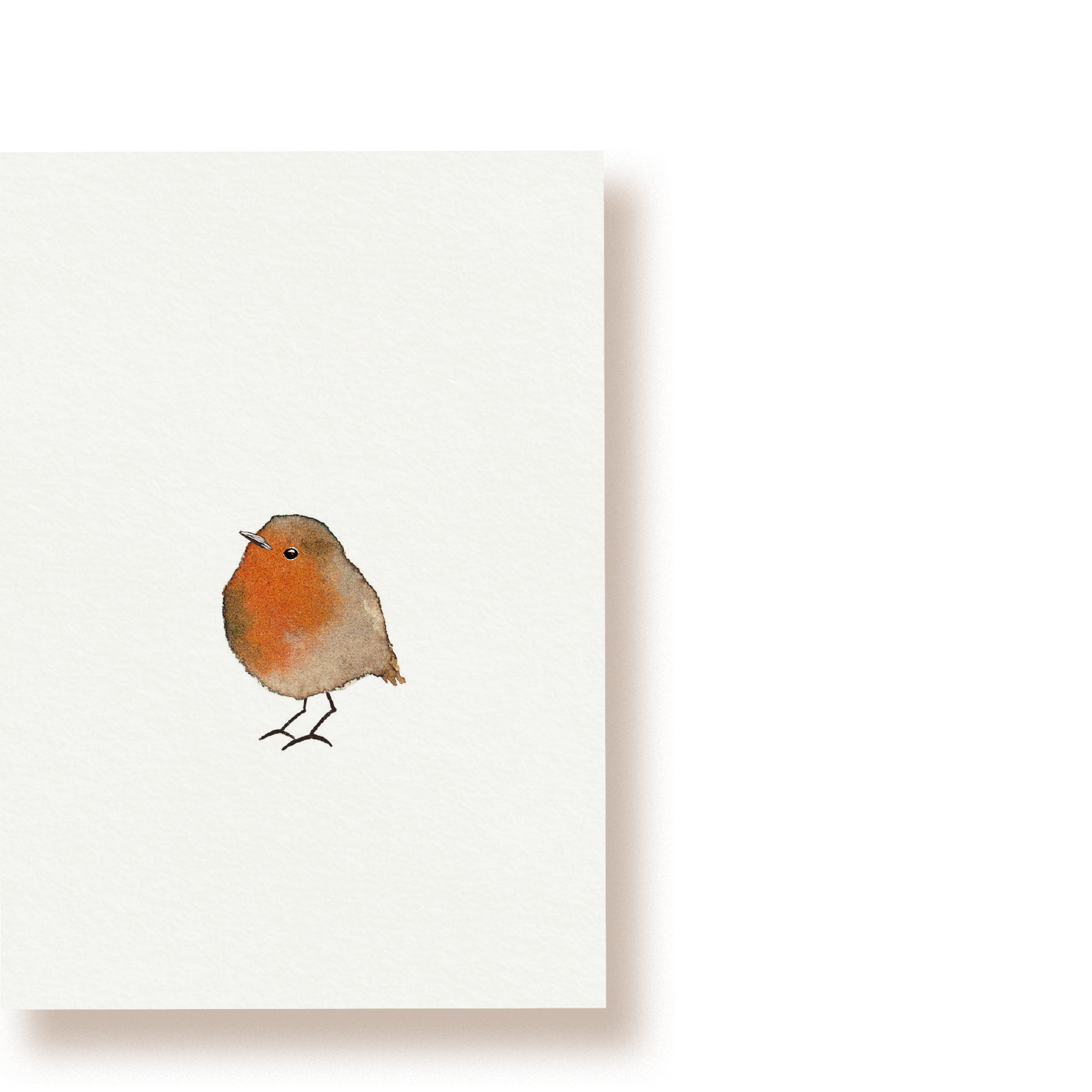 Rotkehlchen | Postkarte