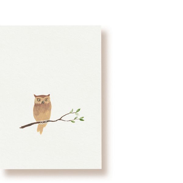 Eule | Postkarte