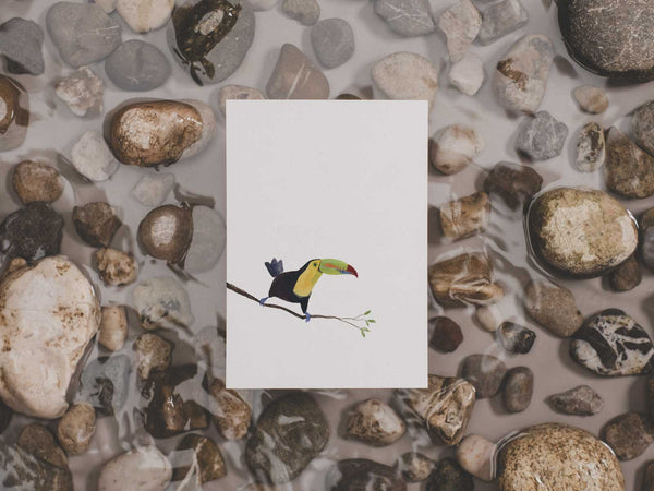 Fischertukan | Postkarte