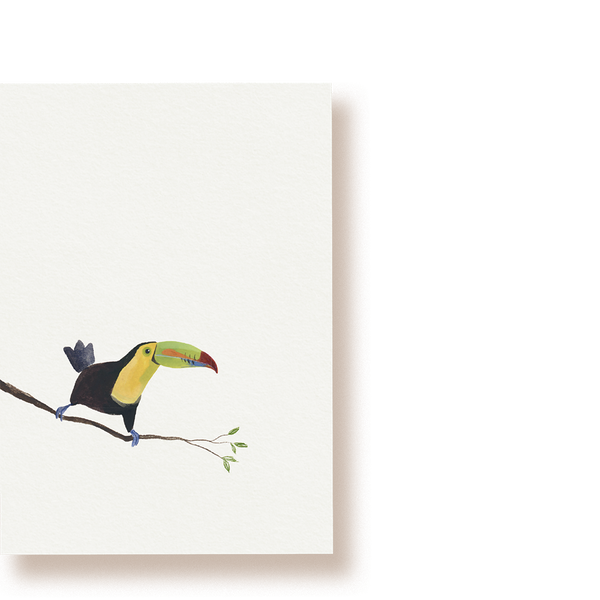 Fischertukan | Postkarte