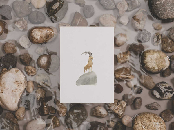 Steinbock | Postkarte