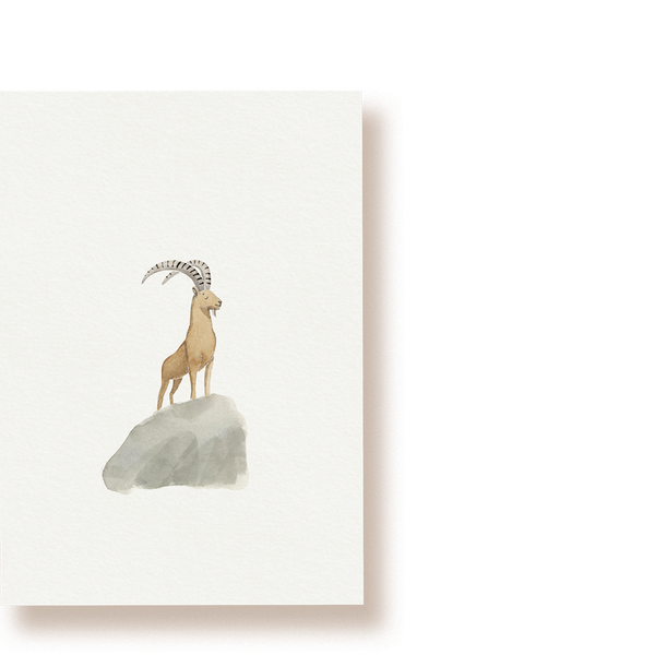 Steinbock | Postkarte
