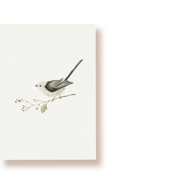 Schwanzmeise | Postkarte