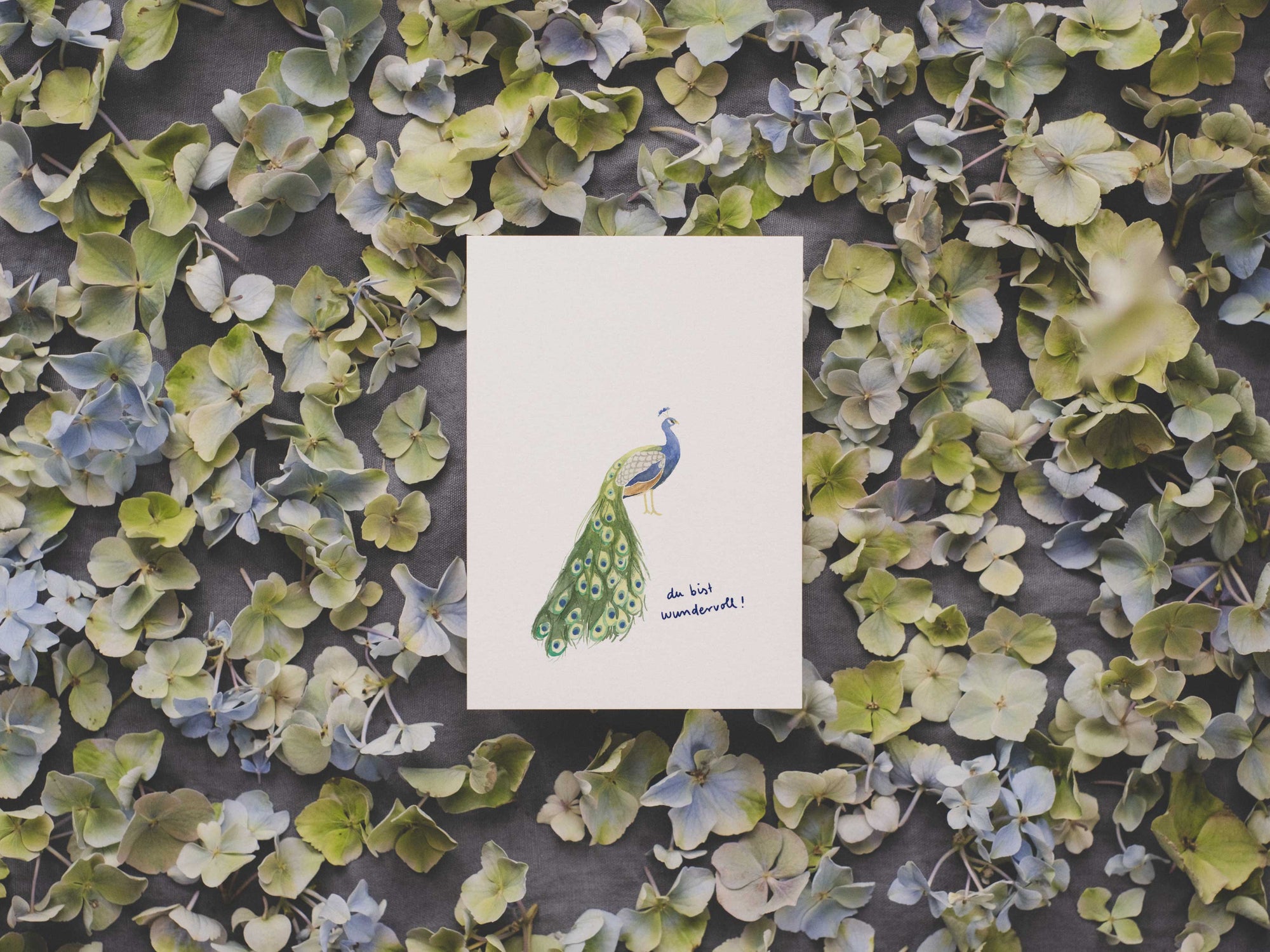 Pfau - du bist wundervoll! | Postkarte