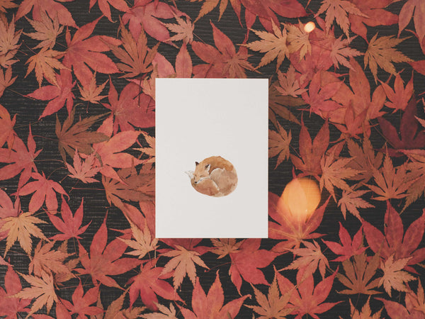 Fuchs | Postkarte