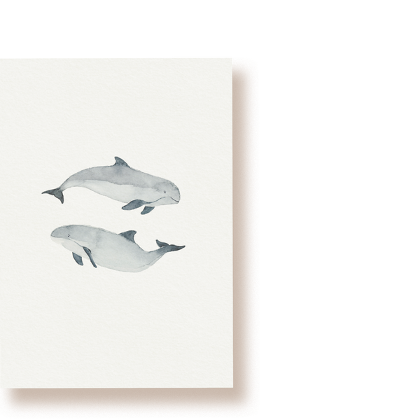 Schweinswale | Postkarte