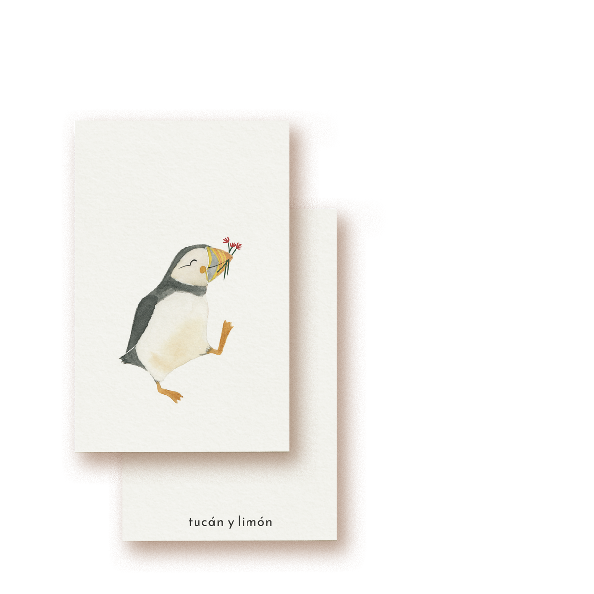 Papageientaucher Geschenkkarte tiny card