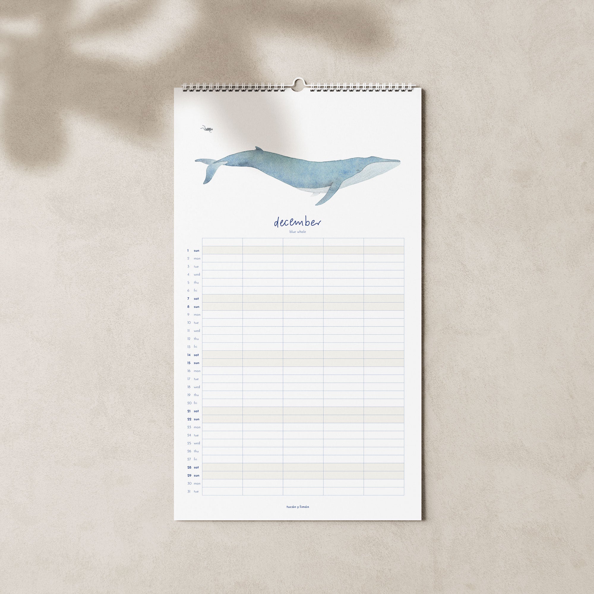 2024 Familienkalender Wale