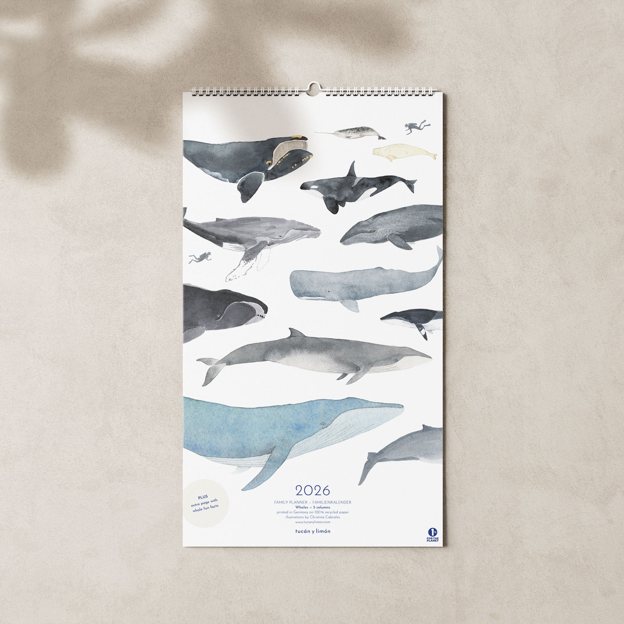 2026 Familienkalender Wale