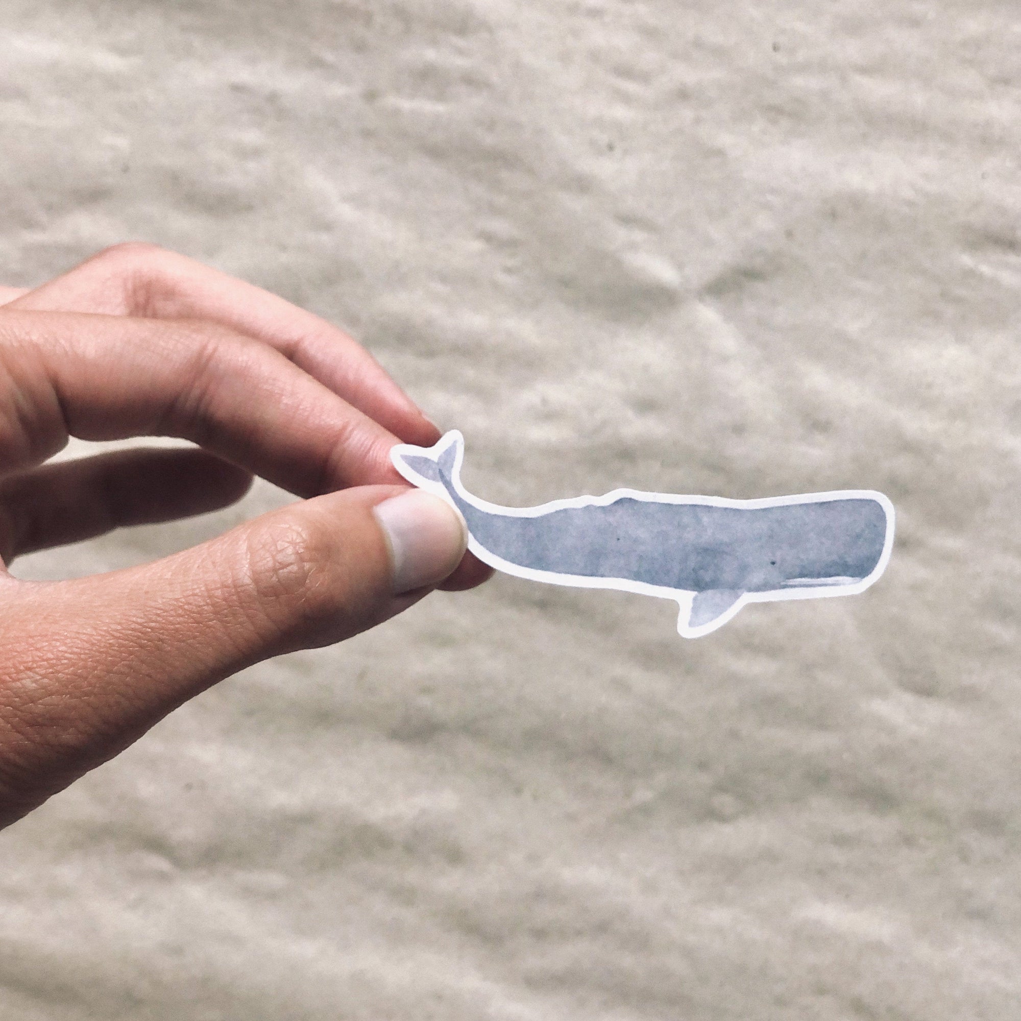 Wal Sticker aus Recyclingpapier / ohne PVC